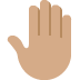 🤚🏽 raised back of hand: medium skin tone display on Twitter